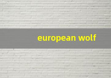 european wolf